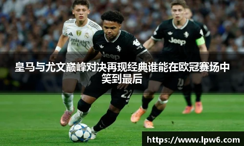 K1体育官网入口